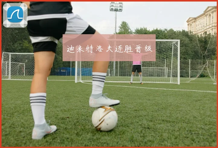 迪米特洛夫连胜晋级