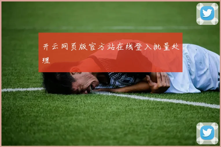 开云网页版官方站在线登入批量处理