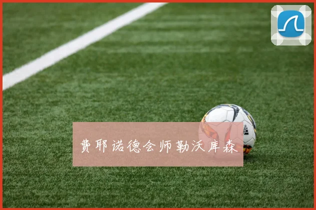费耶诺德会师勒沃库森