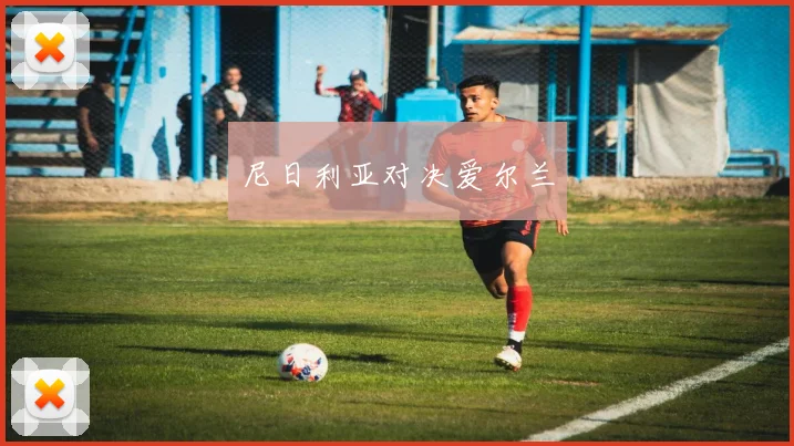 尼日利亚对决爱尔兰
