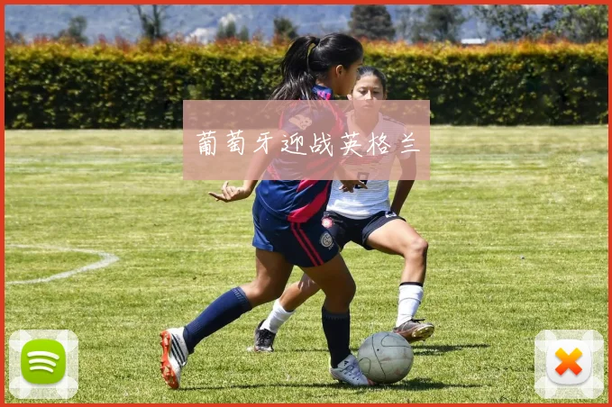 葡萄牙迎战英格兰
