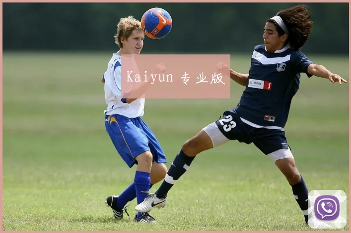 Kaiyun 专业版
