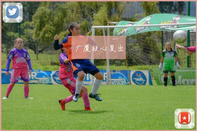 广厦核心复出