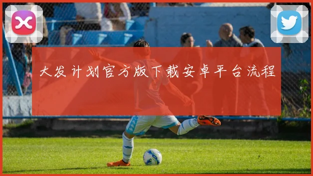 大发计划官方版下载安卓平台流程