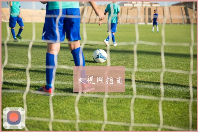 央视网指南