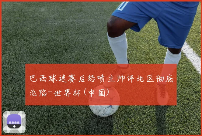 巴西球迷赛后怒喷主帅评论区彻底沦陷-世界杯(中国)