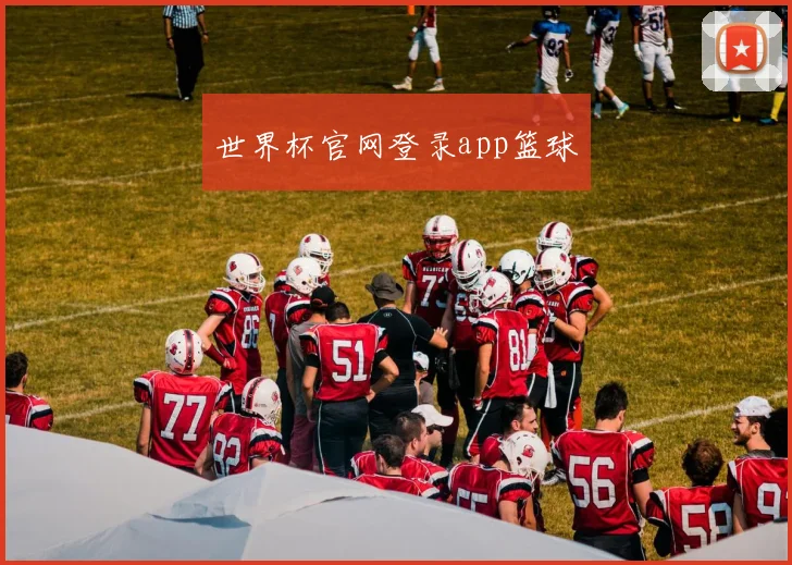 世界杯官网登录app篮球