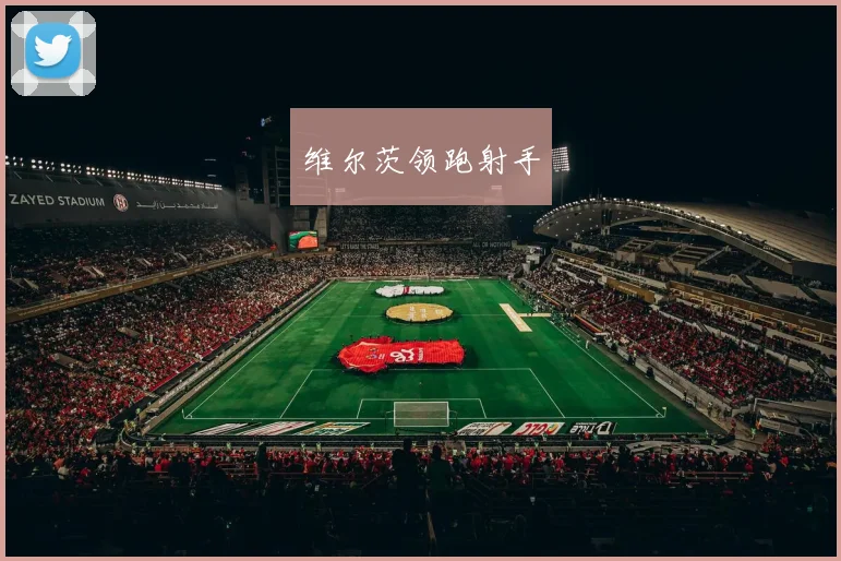维尔茨领跑射手