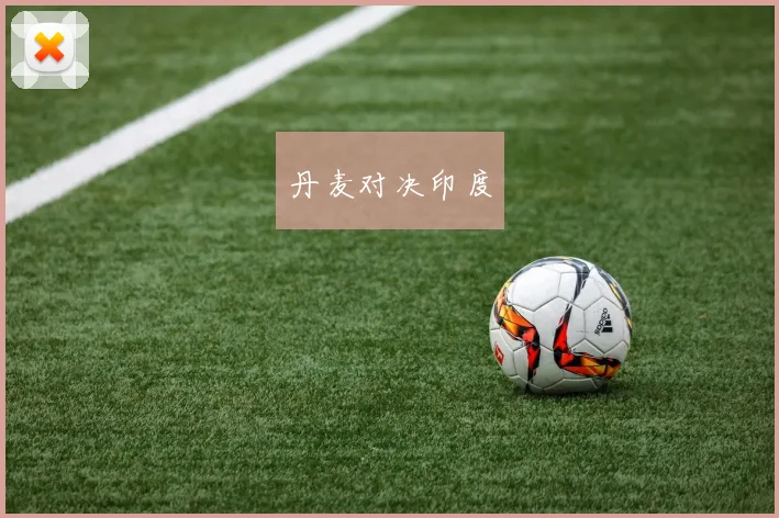 丹麦对决印度