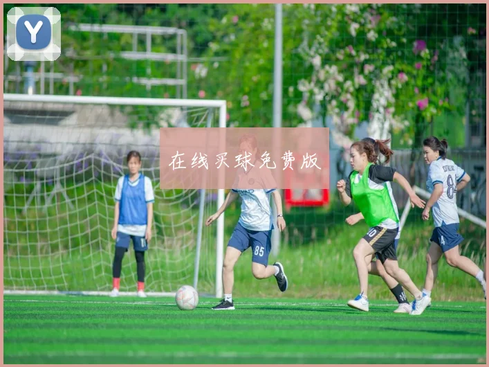在线买球免费版