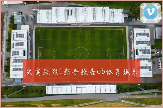 兴高采烈!新手报告ob体育娱乐