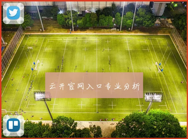 云开官网入口专业分析