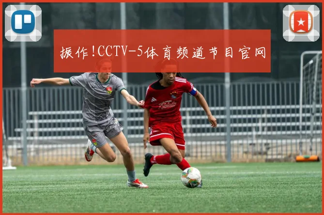 振作!CCTV-5体育频道节目官网