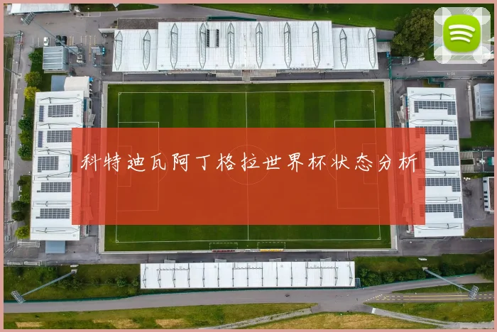 科特迪瓦阿丁格拉世界杯状态分析
