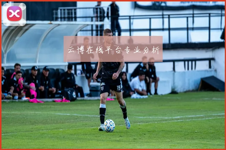 云博在线平台专业分析