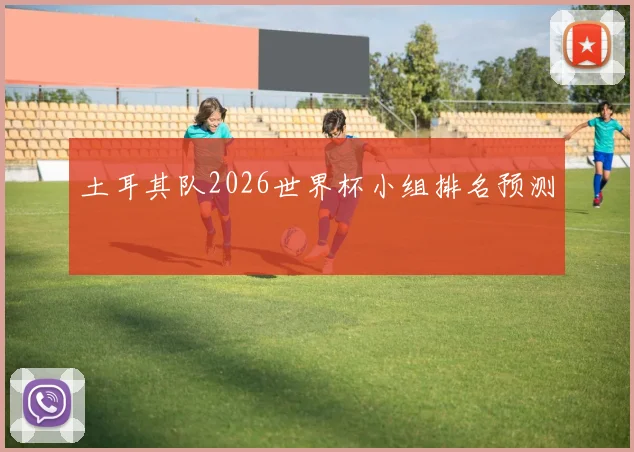 土耳其队2026世界杯小组排名预测