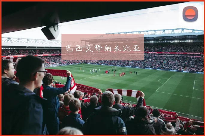 巴西交锋纳米比亚