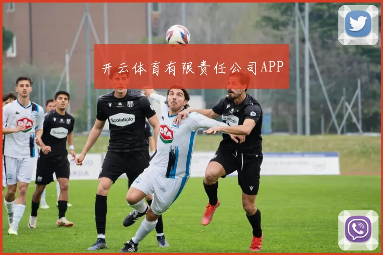 开云体育有限责任公司APP