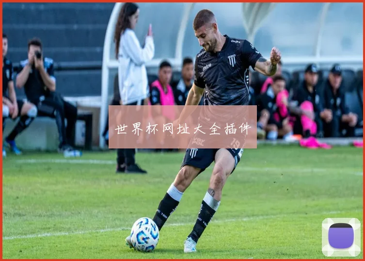 世界杯网址大全插件