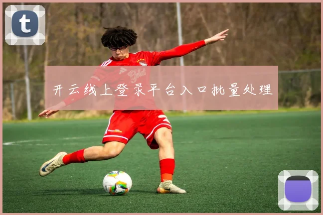 开云线上登录平台入口批量处理