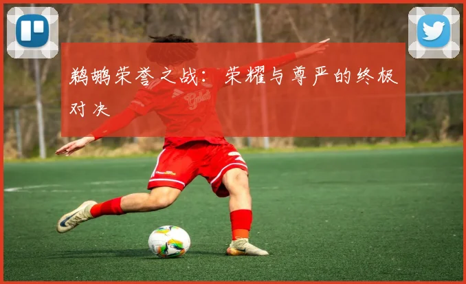 鹈鹕荣誉之战:荣耀与尊严的终极对决