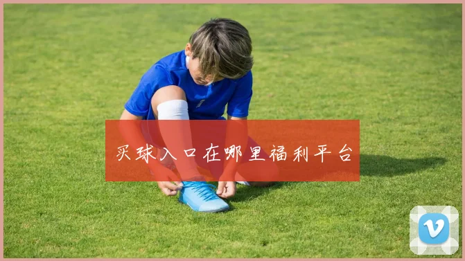 买球入口在哪里福利平台
