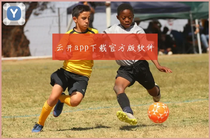 云开app下载官方版软件
