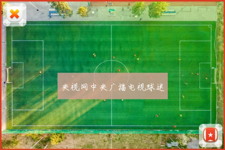 央视网中央广播电视球迷