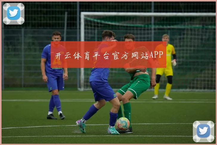 开云体育平台官方网站APP