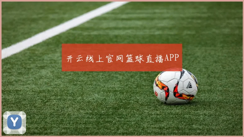 开云线上官网篮球直播APP