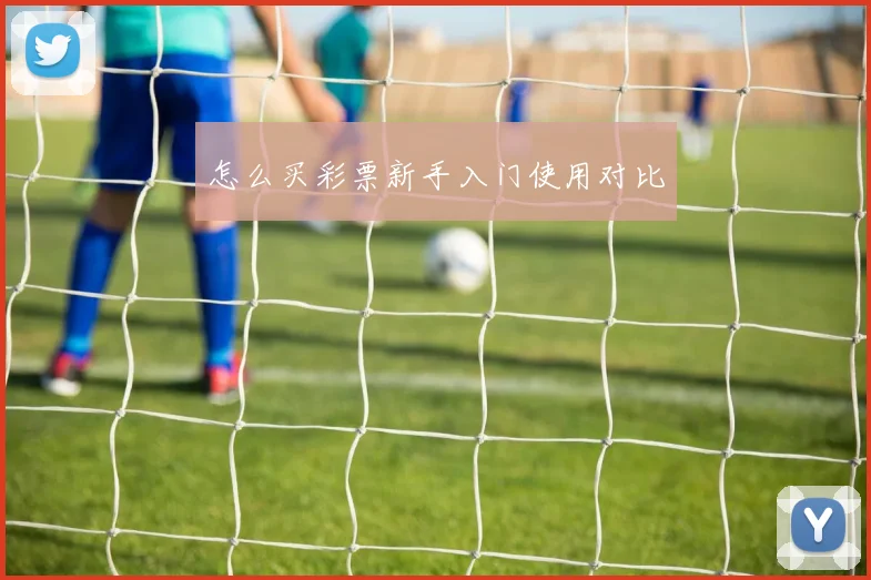 怎么买彩票新手入门使用对比