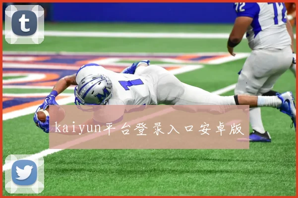 kaiyun平台登录入口安卓版