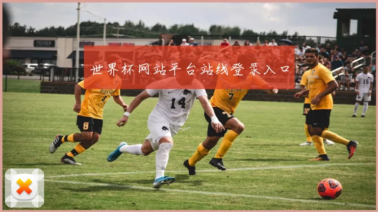 世界杯网站平台站线登录入口