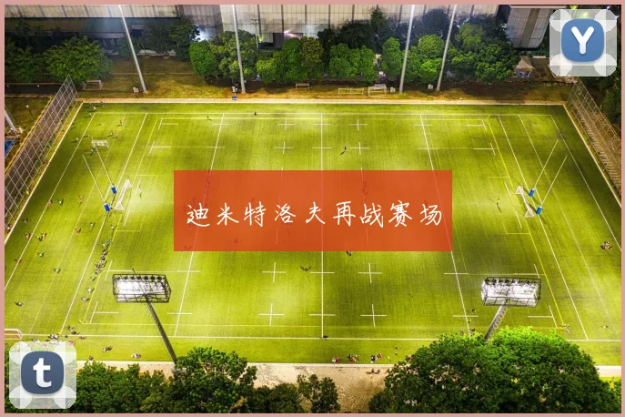 迪米特洛夫再战赛场