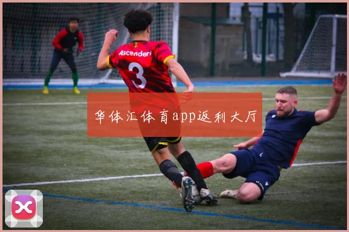 华体汇体育app返利大厅
