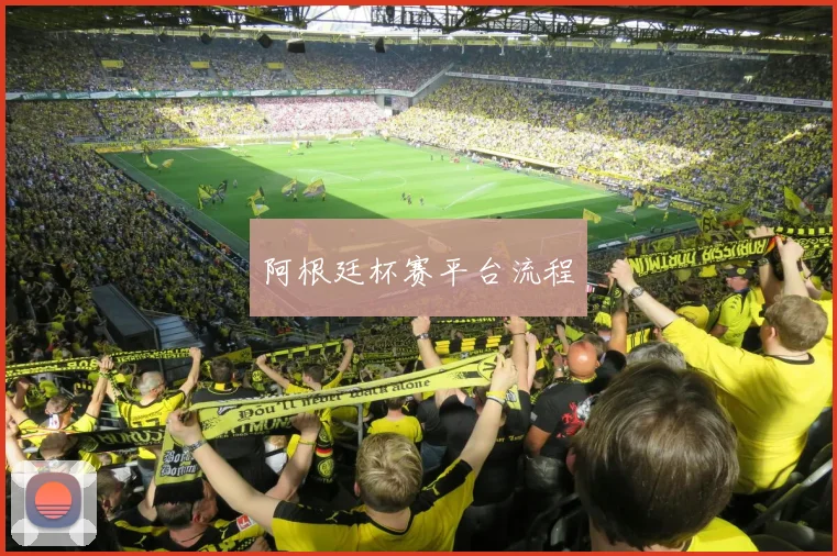 阿根廷杯赛平台流程