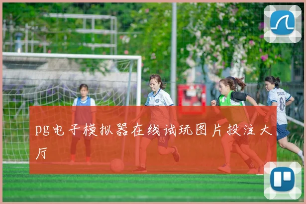 pg电子模拟器在线试玩图片投注大厅