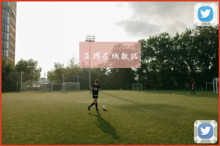 亚搏在线数据