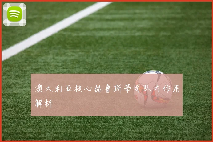 澳大利亚核心赫鲁斯蒂奇队内作用解析
