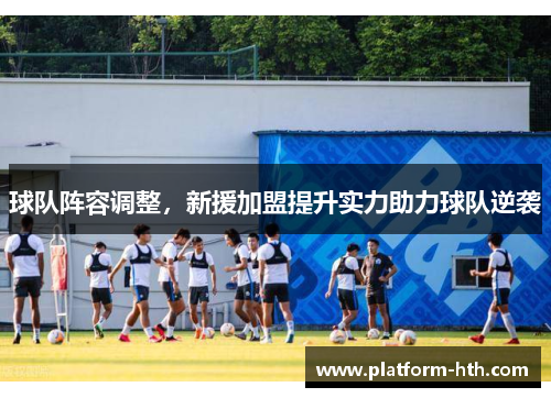 球队阵容调整，新援加盟提升实力助力球队逆袭