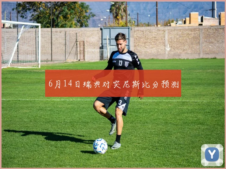 6月14日瑞典对突尼斯比分预测