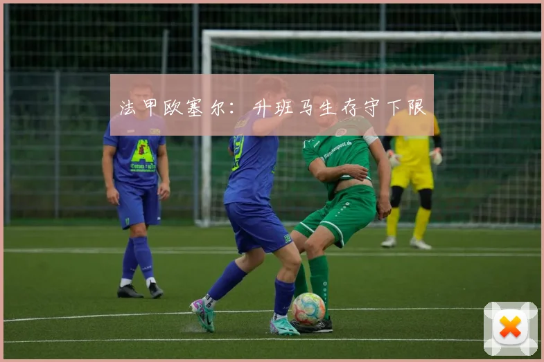 法甲欧塞尔:升班马生存守下限